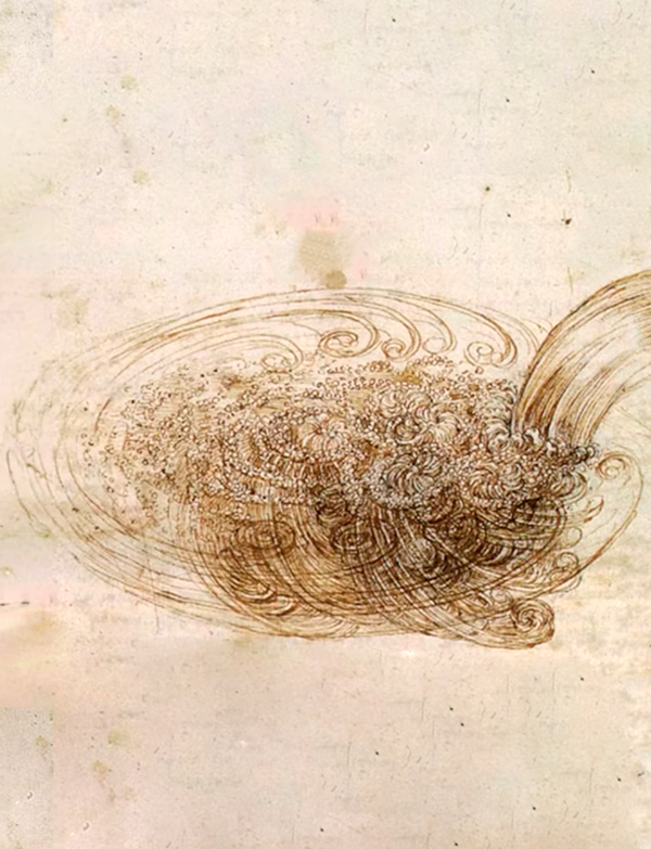 Wilmer Chaca Leonardo Da Vinci